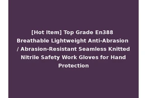 [Hot Item] Top Grade En388 Breathable Lightweight Anti-Abrasion / Abrasion-Resistant Seamless Knitted Nitrile Safety Work Gloves for Hand Protection