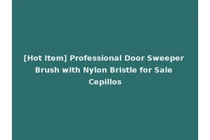 [Hot Item] Professional Door Sweeper Brush with Nylon Bristle for Sale Cepillos