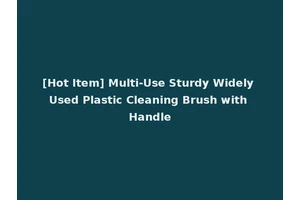 [Hot Item] Multi-Use Sturdy Widely Used Plastic Cleaning Brush with Handle