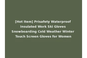 [Hot Item] Prisafety Waterproof Insulated Work Ski Gloves Snowboarding Cold Weather Winter Touch Screen Gloves for Women