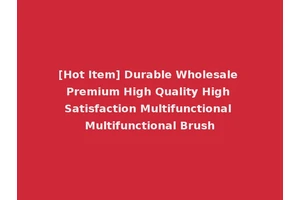 [Hot Item] Durable Wholesale Premium High Quality High Satisfaction Multifunctional Multifunctional Brush