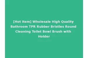 [Hot Item] Wholesale High Quality Bathroom TPR Rubber Bristles Round Cleaning Toilet Bowl Brush with Holder