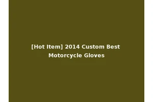[Hot Item] 2014 Custom Best Motorcycle Gloves