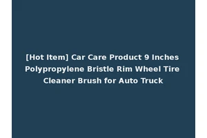 [Hot Item] Car Care Product 9 Inches Polypropylene Bristle Rim Wheel Tire Cleaner Brush for Auto Truck