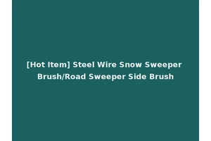 [Hot Item] Steel Wire Snow Sweeper Brush/Road Sweeper Side Brush