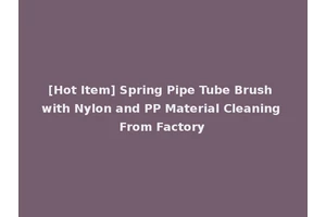 [Hot Item] Spring Pipe Tube Brush with Nylon and PP Material Cleaning From Factory