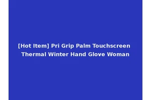 [Hot Item] Pri Grip Palm Touchscreen Thermal Winter Hand Glove Woman