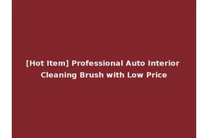 [Hot Item] Professional Auto Interior Cleaning Brush with Low Price