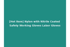 [Hot Item] Nylon with Nitrile Coated Safety Working Gloves Labor Gloves