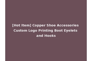 [Hot Item] Copper Shoe Accessories Custom Logo Printing Boot Eyelets and Hooks