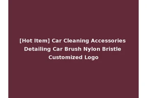 [Hot Item] Car Cleaning Accessories Detailing Car Brush Nylon Bristle Customized Logo