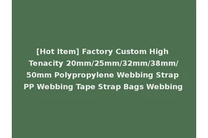[Hot Item] Factory Custom High Tenacity 20mm/25mm/32mm/38mm/50mm Polypropylene Webbing Strap PP Webbing Tape Strap Bags Webbing