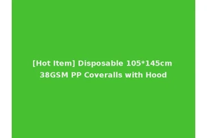 [Hot Item] Disposable 105*145cm 38GSM PP Coveralls with Hood