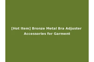 [Hot Item] Bronze Metal Bra Adjuster Accessories for Garment