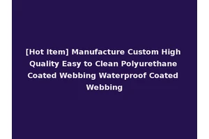 [Hot Item] Manufacture Custom High Quality Easy to Clean Polyurethane Coated Webbing Waterproof Coated Webbing