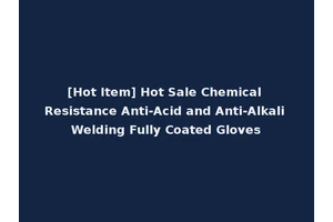 [Hot Item] Hot Sale Chemical Resistance Anti-Acid and Anti-Alkali Welding Fully Coated Gloves