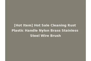[Hot Item] Hot Sale Cleaning Rust Plastic Handle Nylon Brass Stainless Steel Wire Brush