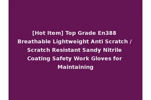[Hot Item] Top Grade En388 Breathable Lightweight Anti Scratch / Scratch Resistant Sandy Nitrile Coating Safety Work Gloves for Maintaining