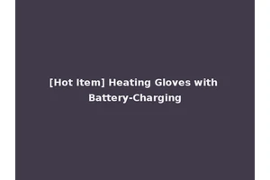 [Hot Item] Heating Gloves with Battery-Charging