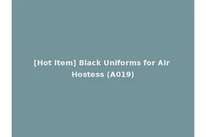[Hot Item] Black Uniforms for Air Hostess (A019)