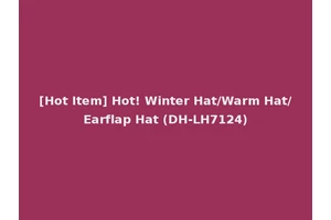 [Hot Item] Hot! Winter Hat/Warm Hat/Earflap Hat (DH-LH7124)