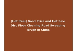 [Hot Item] Good Price and Hot Sale Disc Floor Cleaning Road Sweeping Brush in China