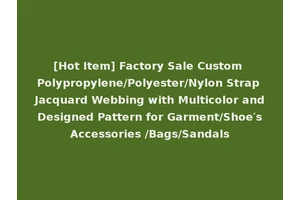 [Hot Item] Factory Sale Custom Polypropylene/Polyester/Nylon Strap Jacquard Webbing with Multicolor and Designed Pattern for Garment/Shoe′s Accessories /Bags/Sandals