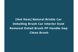 [Hot Item] Natural Bristle Car Detailing Brush Car Interior Dust Removal Detail Brush PP Handle Gap Clean Brush