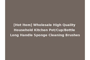[Hot Item] Wholesale High Quality Household Kitchen Pot/Cup/Bottle Long Handle Sponge Cleaning Brushes