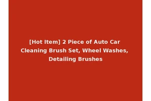 [Hot Item] 2 Piece of Auto Car Cleaning Brush Set, Wheel Washes, Detailing Brushes