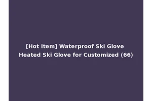 [Hot Item] Waterproof Ski Glove Heated Ski Glove for Customized (66)