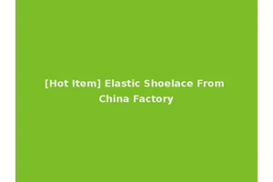 [Hot Item] Elastic Shoelace From China Factory