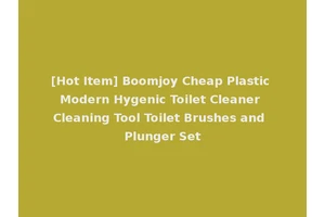 [Hot Item] Boomjoy Cheap Plastic Modern Hygenic Toilet Cleaner Cleaning Tool Toilet Brushes and Plunger Set