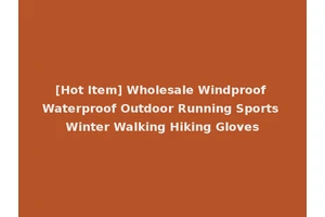 [Hot Item] Wholesale Windproof Waterproof Outdoor Running Sports Winter Walking Hiking Gloves