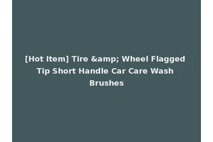 [Hot Item] Tire &amp; Wheel Flagged Tip Short Handle Car Care Wash Brushes