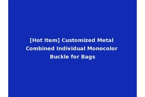 [Hot Item] Customized Metal Combined Individual Monocolor Buckle for Bags