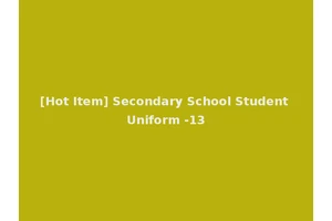 [Hot Item] Secondary School Student Uniform -13