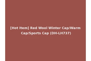 [Hot Item] Red Wool Winter Cap/Warm Cap/Sports Cap (DH-LH737)
