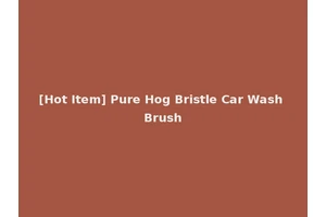 [Hot Item] Pure Hog Bristle Car Wash Brush