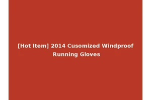 [Hot Item] 2014 Cusomized Windproof Running Gloves