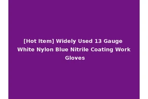 [Hot Item] Widely Used 13 Gauge White Nylon Blue Nitrile Coating Work Gloves