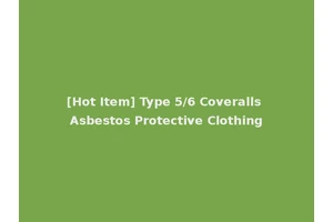 [Hot Item] Type 5/6 Coveralls Asbestos Protective Clothing