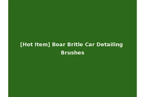 [Hot Item] Boar Britle Car Detailing Brushes