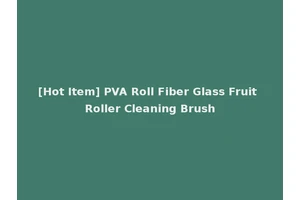 [Hot Item] PVA Roll Fiber Glass Fruit Roller Cleaning Brush