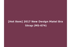 [Hot Item] 2017 New Design Matel Bra Strap (MS-074)