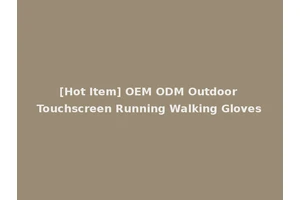 [Hot Item] OEM ODM Outdoor Touchscreen Running Walking Gloves