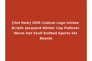 [Hot Item] OEM Custom Logo Unisex Acrylic Jacquard Winter Cap Pullover Warm Hat Skull Knitted Sports Ski Beanie