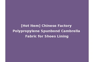 [Hot Item] Chinese Factory Polypropylene Spunbond Cambrella Fabric for Shoes Lining