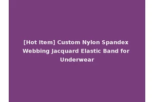 [Hot Item] Custom Nylon Spandex Webbing Jacquard Elastic Band for Underwear