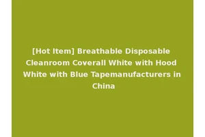 [Hot Item] Breathable Disposable Cleanroom Coverall White with Hood White with Blue Tapemanufacturers in China